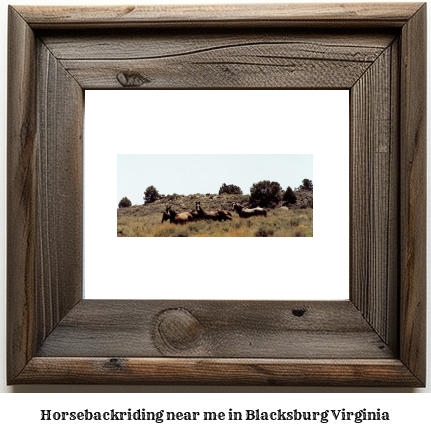 horseback riding near me in Blacksburg, Virginia